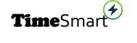 TimeSmart: Timeliness of Information in Smart Grids Networks logo